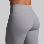 Synergy Full Length Legging 2.0 (Alloy)